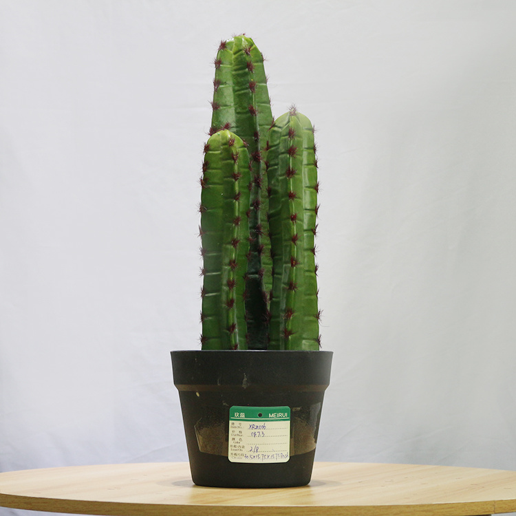 High-Quality-Faux-Greenery-Plastic-Plant-Home-Decor-Cactus (5).jpg